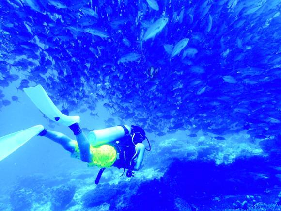 济南天桥区首个交通安全主题广场启用