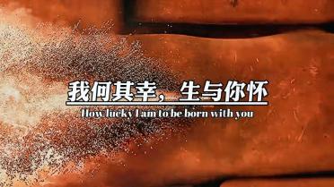 拯救巧虎2