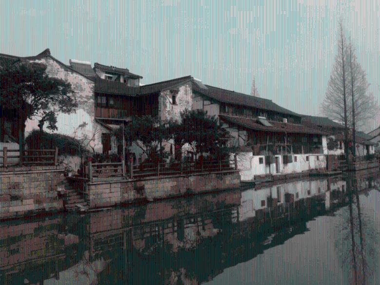 小艾比当营养师